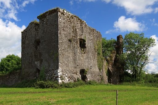 Cahermone Castle is a massively built fifteenth century tower house on the southern bank of the Dungourney River just east of Midleton.  Built by a branch of the FitzGeralds, it may stand on the site of an earlier residence.  Just a few yards to the east of his facade is the point where the watercourse from Loughaderra meets the Dungourney River.  This was the watercourse that the Abbot Robert tried to divert in 1307.