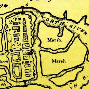 Cork marshlands