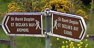 St Declan's Way