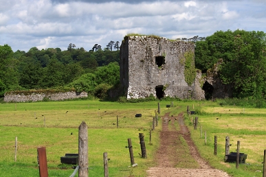 Cahermone Castle was acquired from impecunious relatives in 1571 by John FitzEdmund FitzGerald, who built the walled garden seen on the left.  Cahermone stands at the edge of Midleton town.