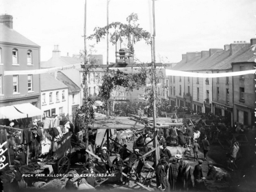 While Europe went to war in August 1939, Kerry celebrated Puck Fair, thus continuing an ancient tradition.  King Puck is housed in the platform at the top of the scaffold. 